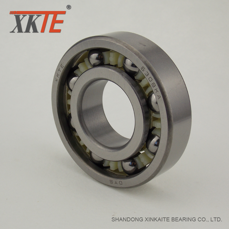 Nylon Pa66 Cage Bearing 