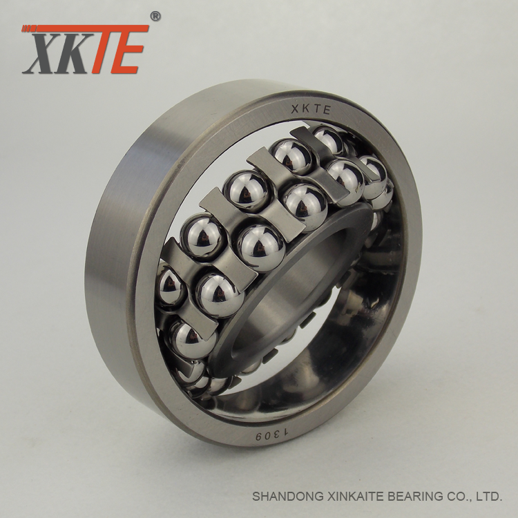 1309 Ball Bearing